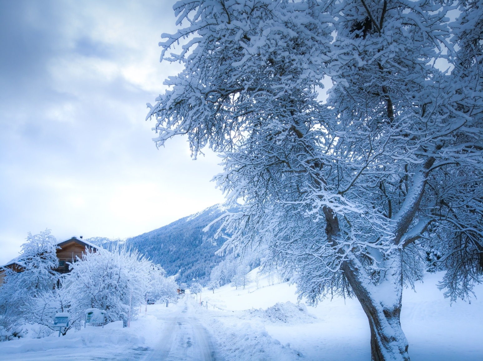 anh chup tu nokia 9 pureview anh 17