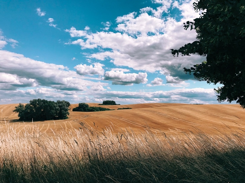 cuoc thi anh iphone cua Apple anh 2