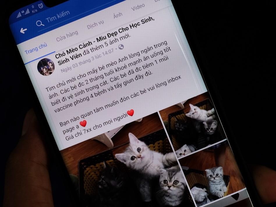 Su that ve Alaska, Husky gia 800.000 dong tren Facebook hinh anh