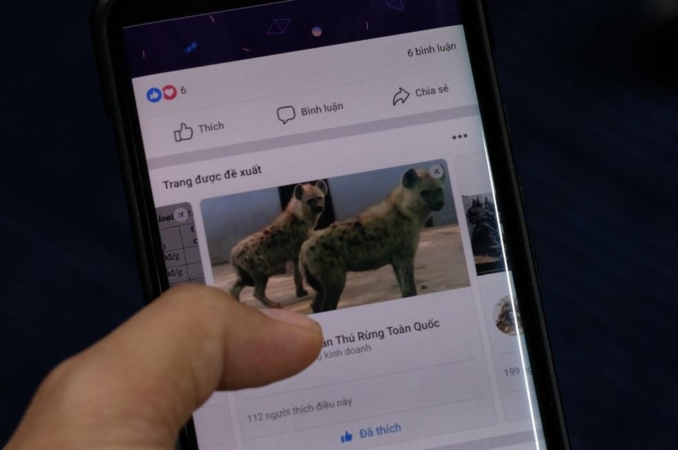 Facebook tiep tay mua ban dong vat quy o Viet Nam hinh anh