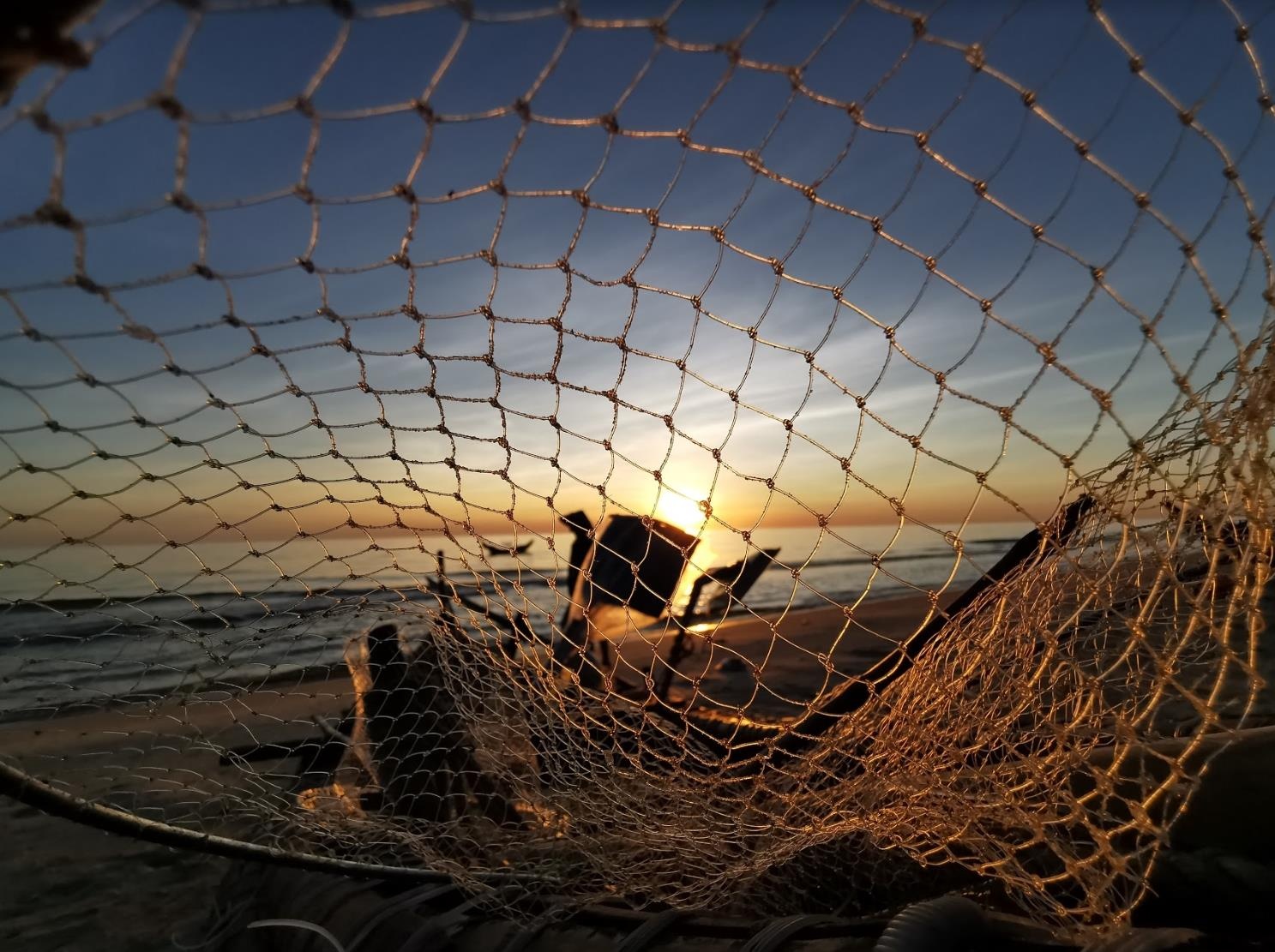 Cuoc thi anh Huawei anh 3