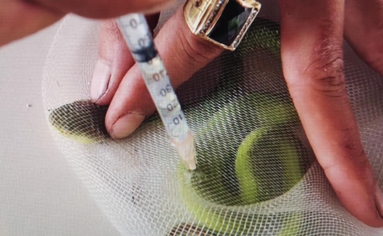 YouTuber VN hanh ha ran sach do gay xon xao hinh anh