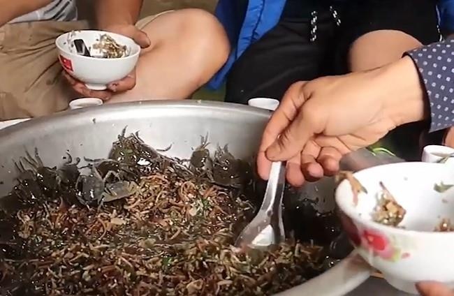 ăn sâu bọ câu view ảnh 2 an sau bo cau view anh 2