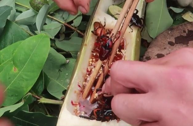 Video an bo song o rung nui gay xon xao hinh anh