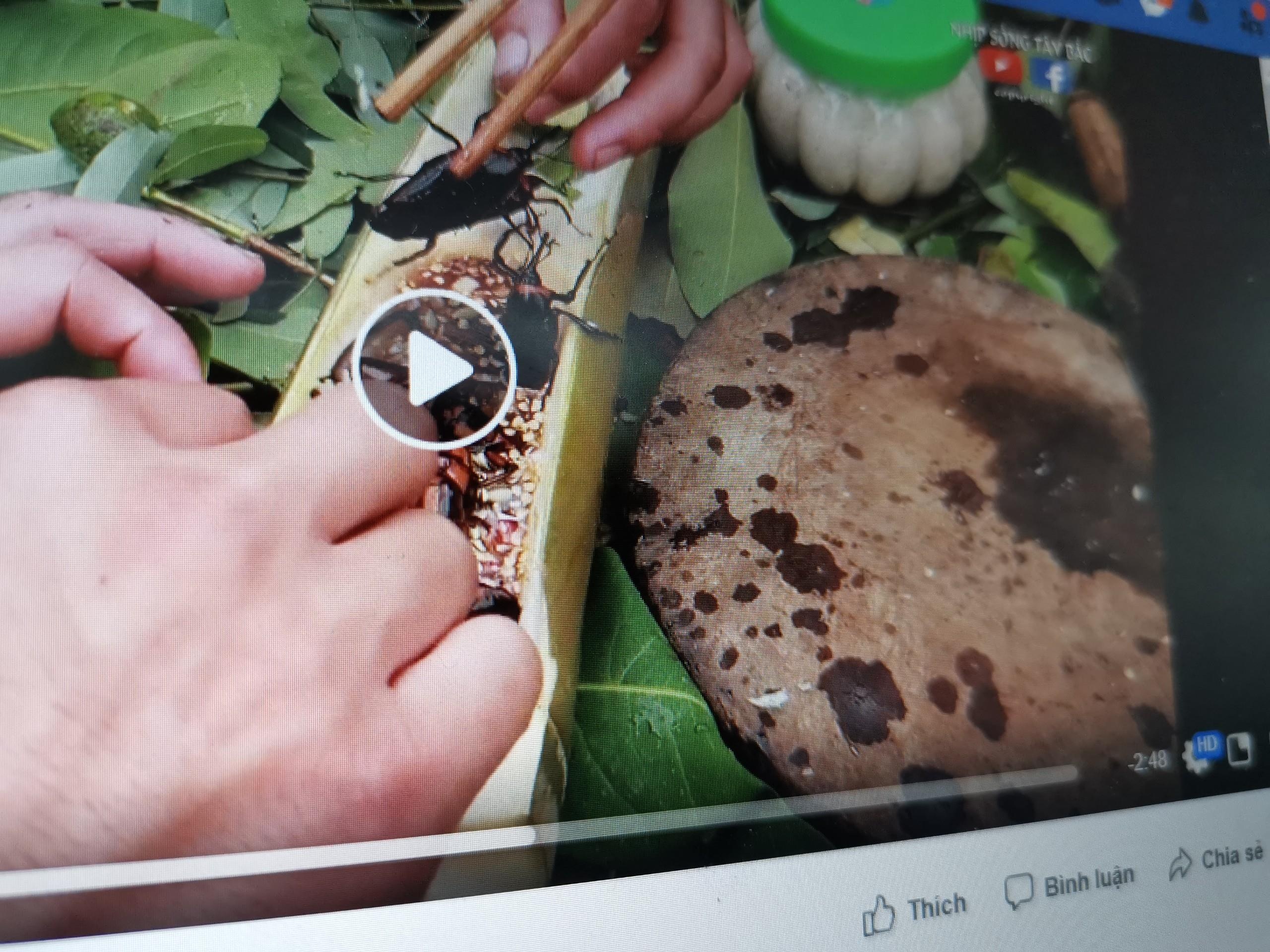 Video an sau bo song gay xon xao cong dong mang hinh anh