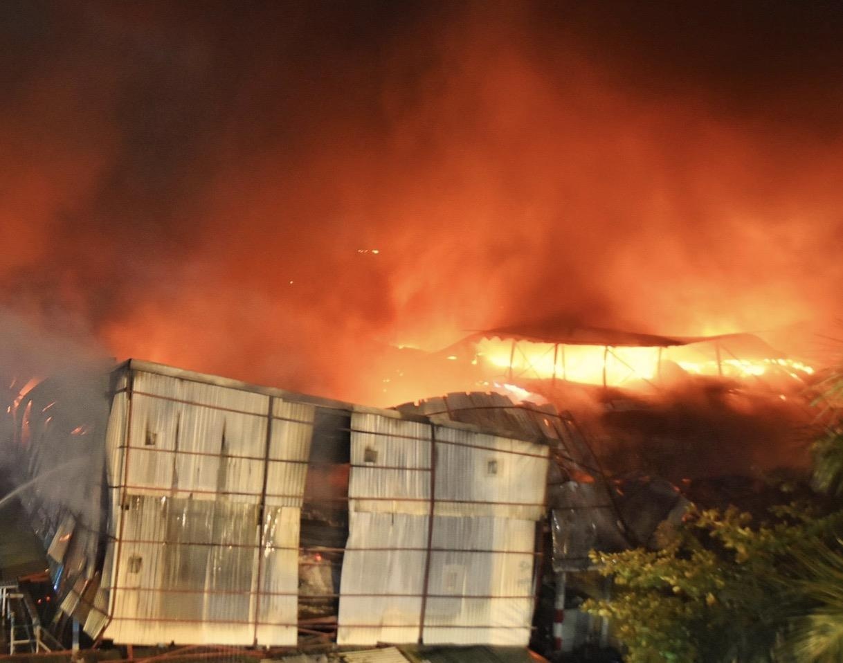 Sau vu chay, thuy ngan co bay khap noi nhu loi don? hinh anh