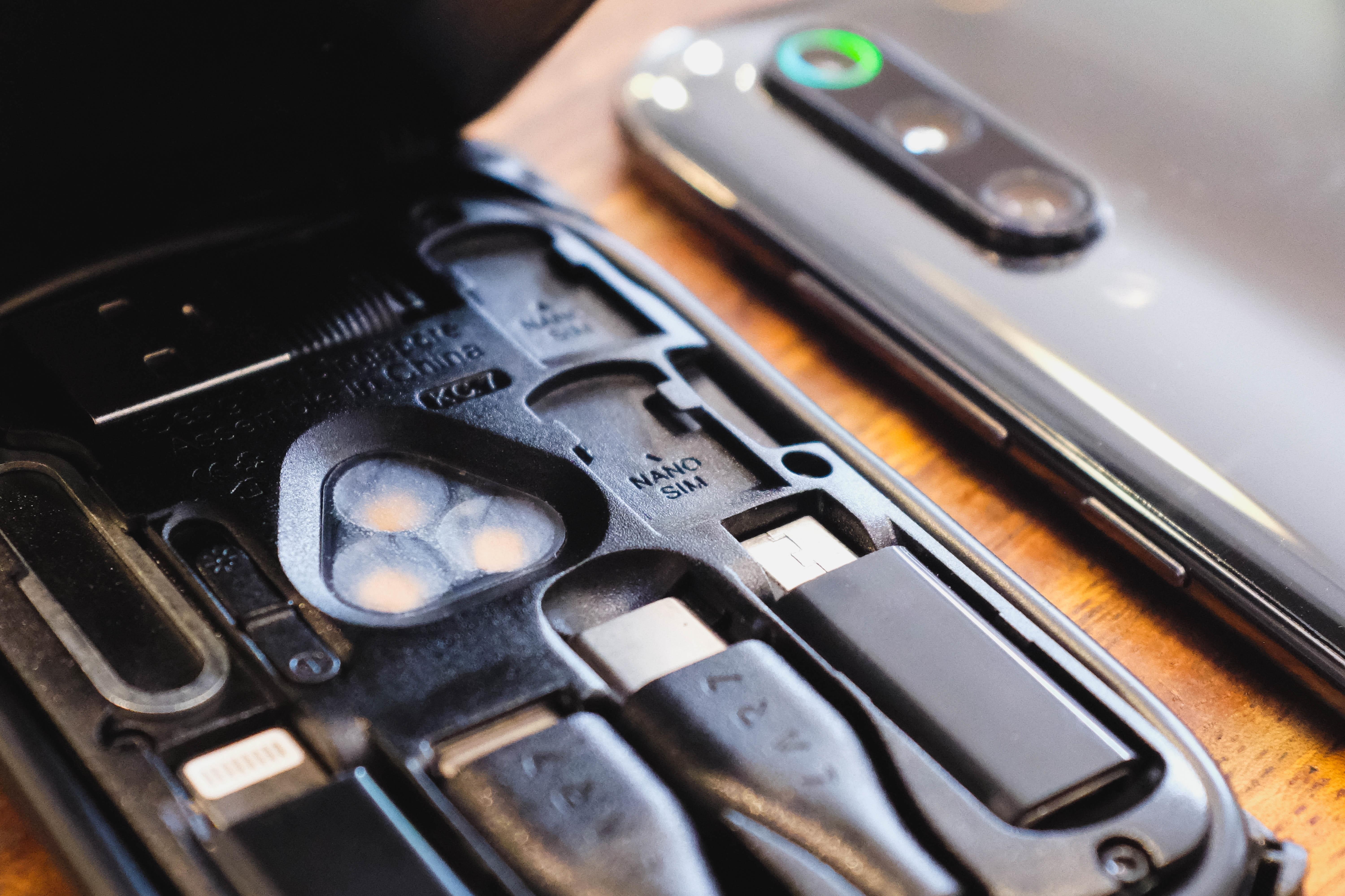 the sinh ton cong nghe anh 9