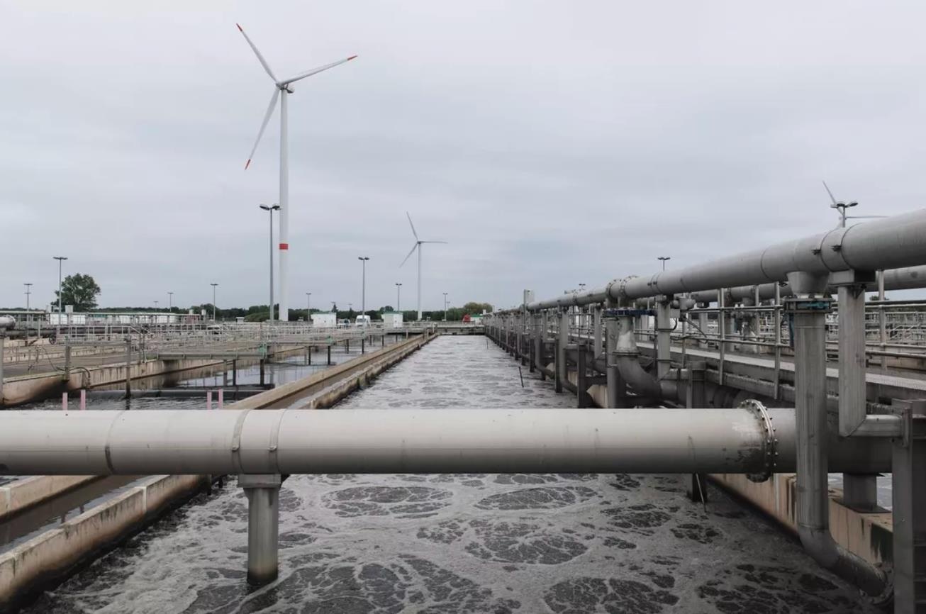 bia làm từ chất thải ảnh 3 bia lam tu chat thai anh 3