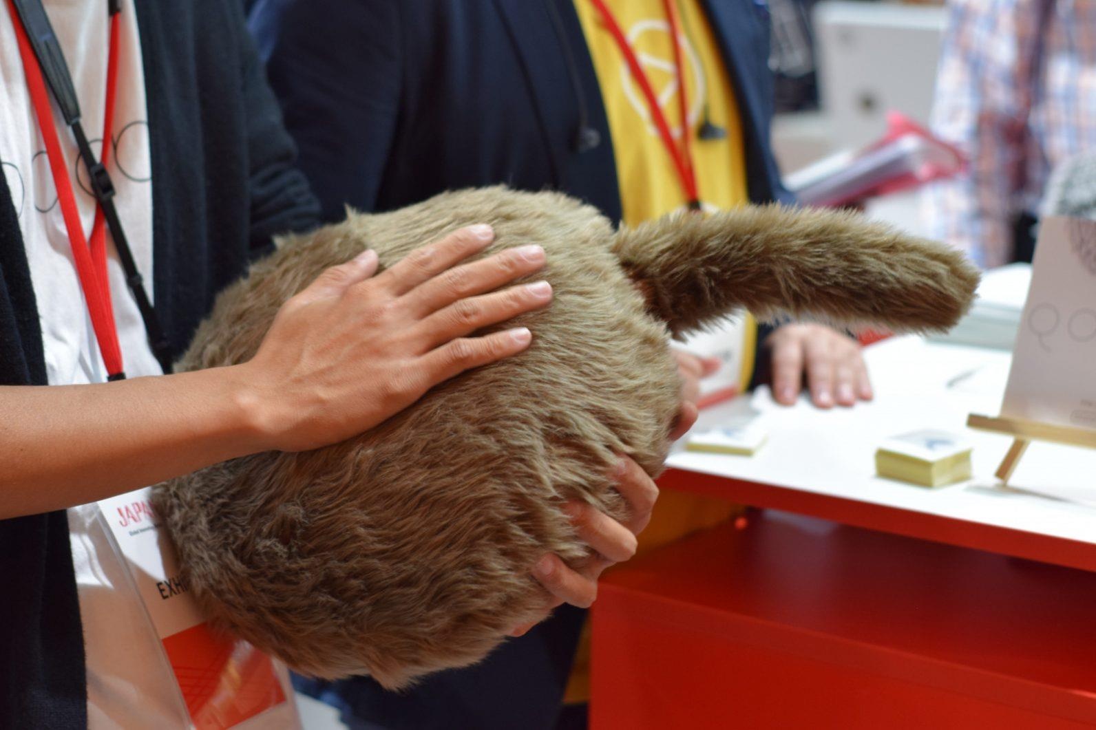 Robot meo khong dau tu Nhat Ban thay the thu cung trong nha hinh anh