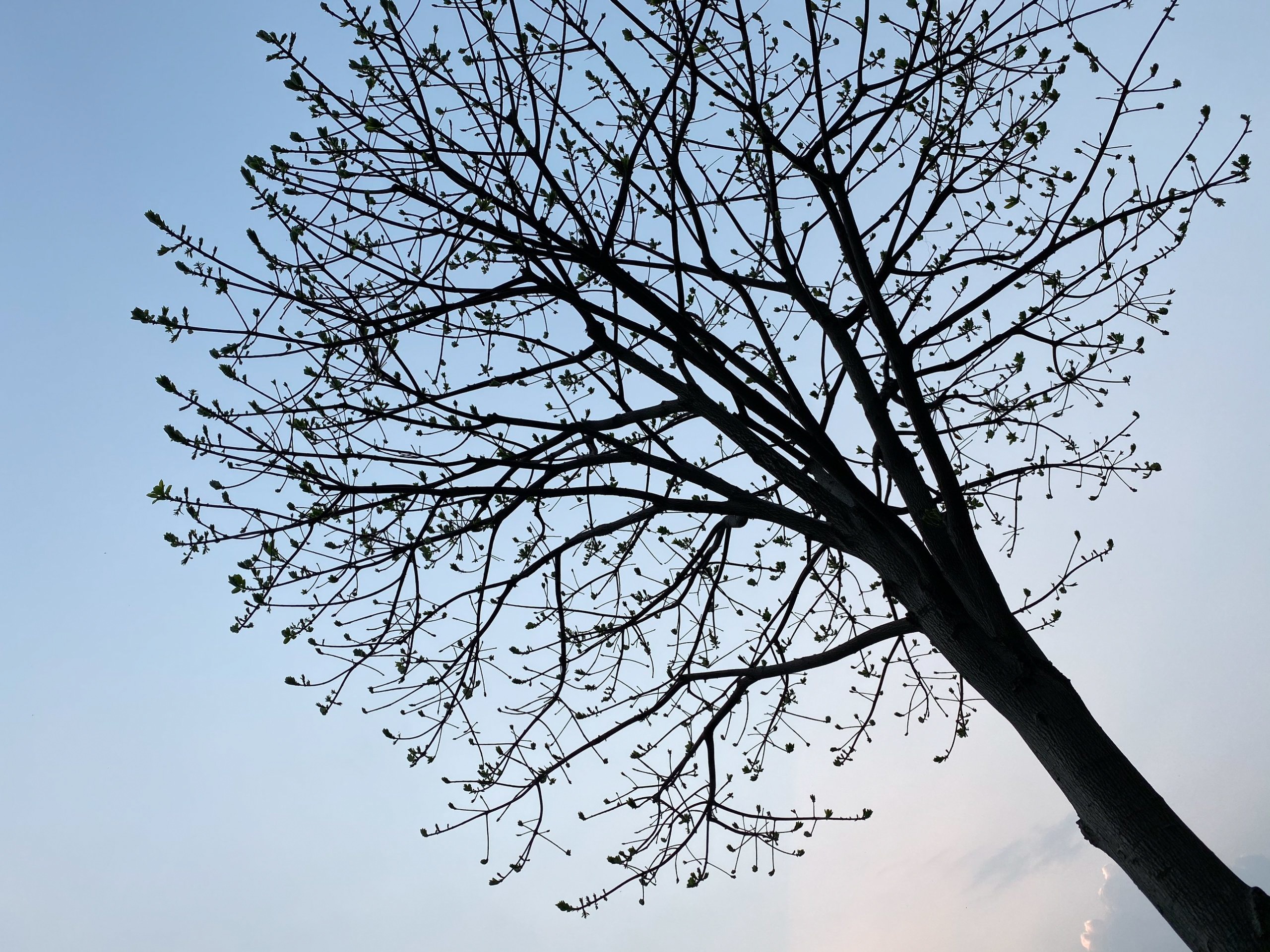 danh gia camera iPhone 11 pro anh 25