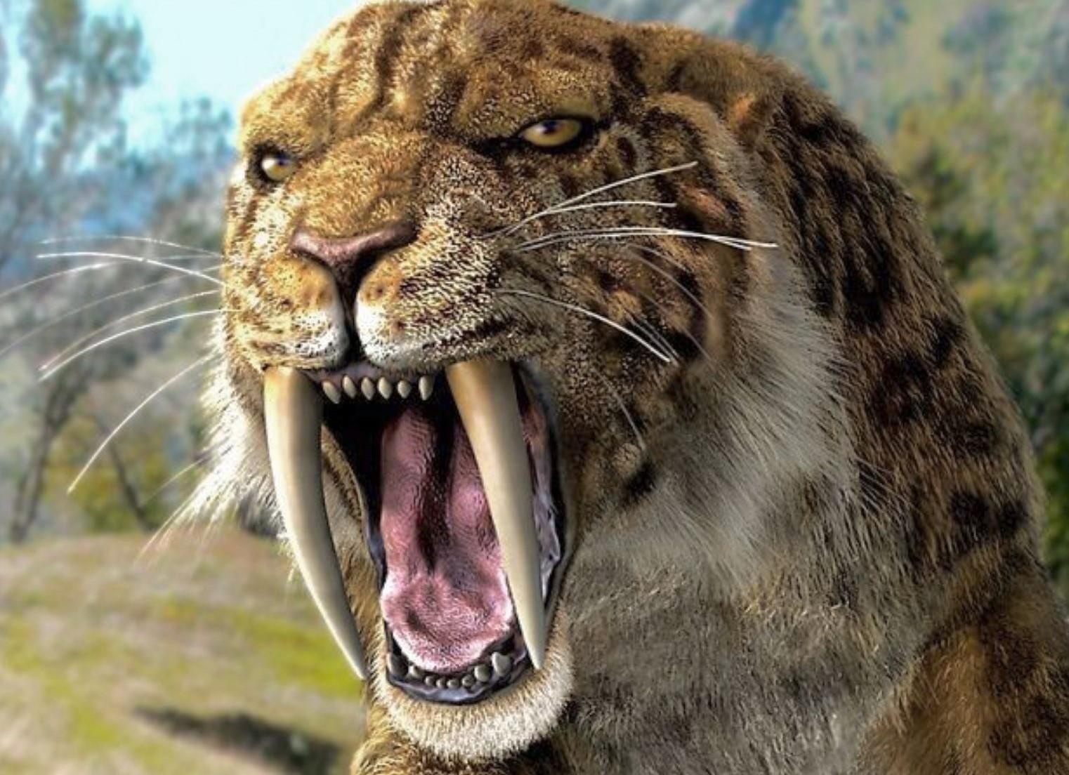 Thien the roi xuong Trai Dat, tieu diet ho rang kiem 13.000 nam truoc hinh anh