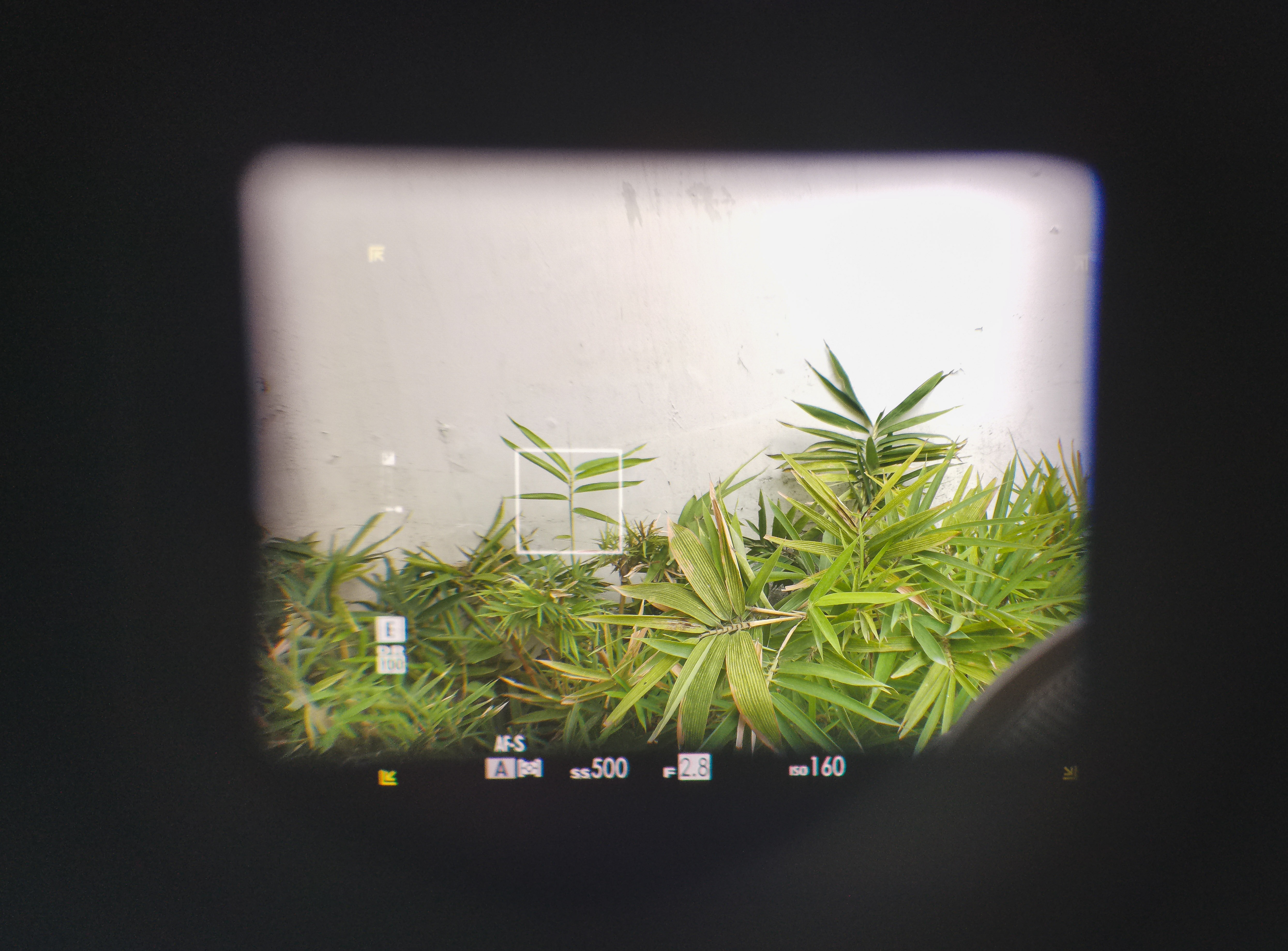 đánh giá x-pro3 ảnh 8 danh gia x-pro3 anh 8