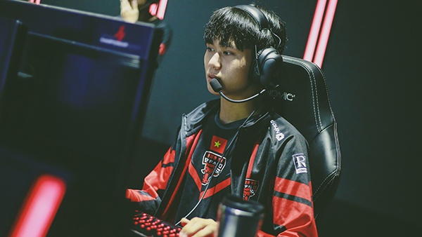 gam cong bo doi hinh anh 3