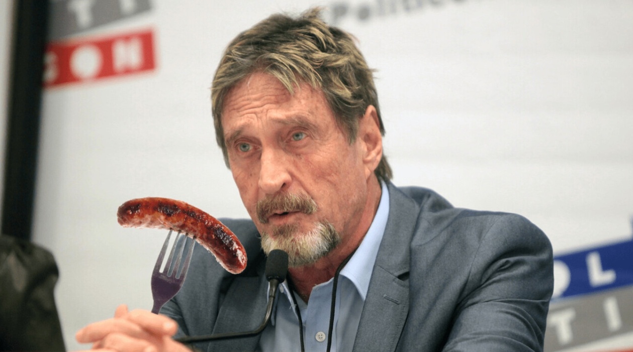 John McAfee huy loi hua an 'cua quy' neu Bitcoin khong dat 1 trieu USD hinh anh