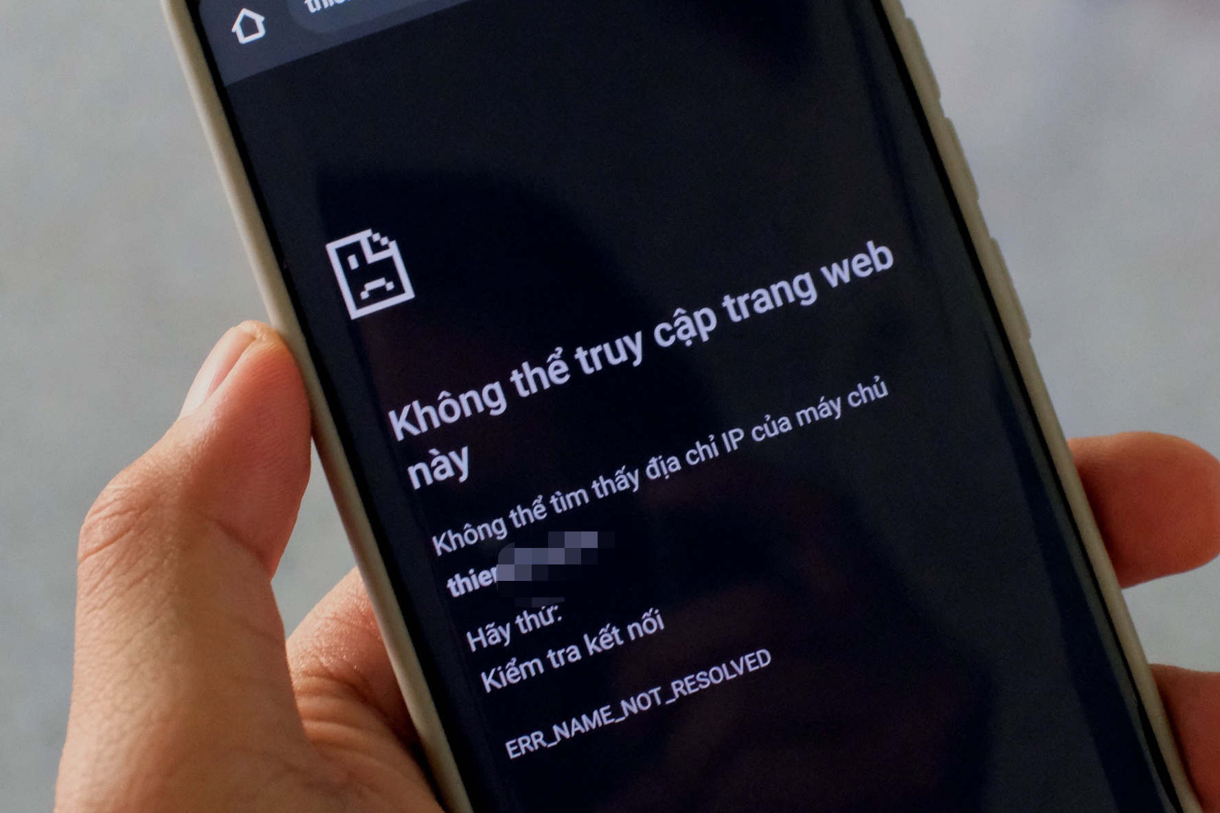 Dien dan khieu dam tieng Viet lon nhat da bi chan? hinh anh