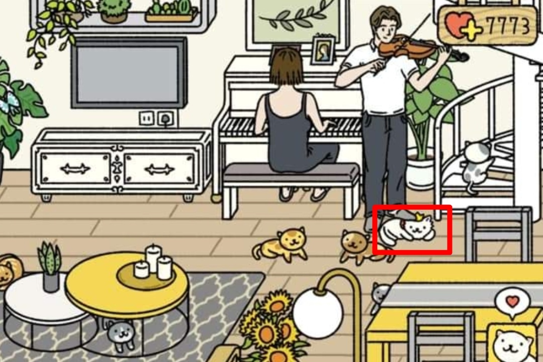 Adorable Home viet nam anh 3