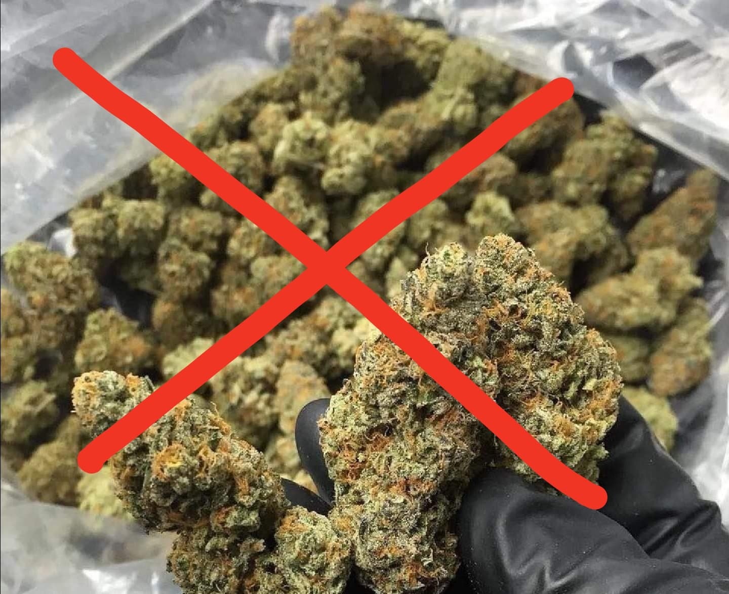 Facebook van nhan tien de quang cao can sa, ca cuoc o Viet Nam hinh anh