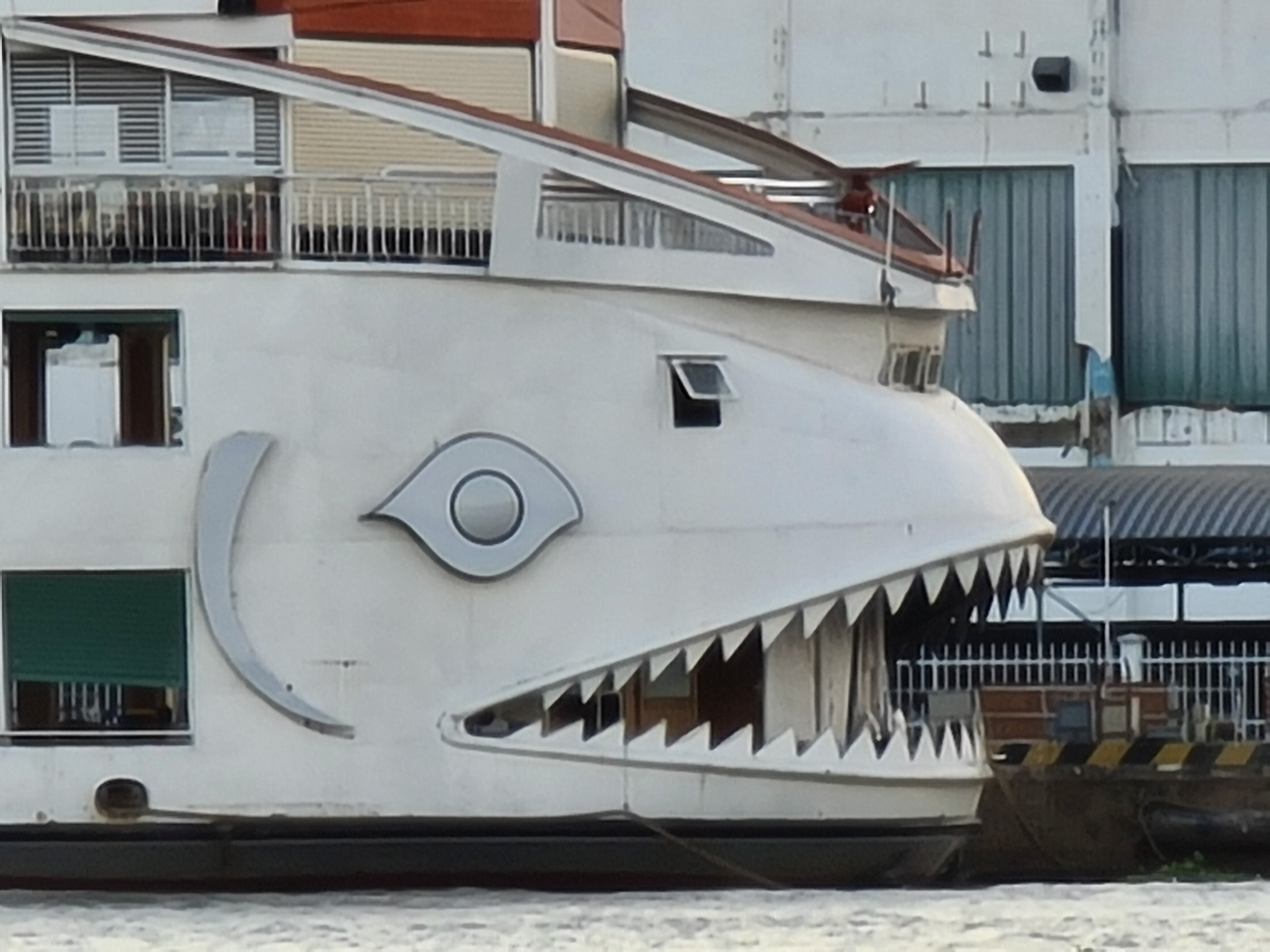 Galaxy S20 Ultra anh 5