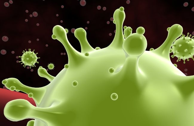 Cac nha khoa hoc dang chung minh virus corona co the 'chet' vao mua he hinh anh