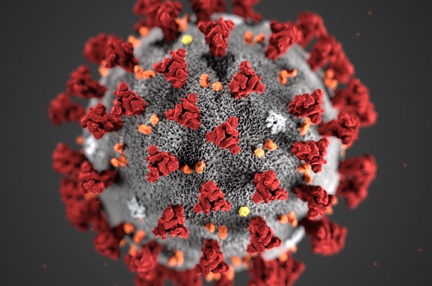 Nghien cuu moi ve su lay lan cua Covid-19 hinh anh