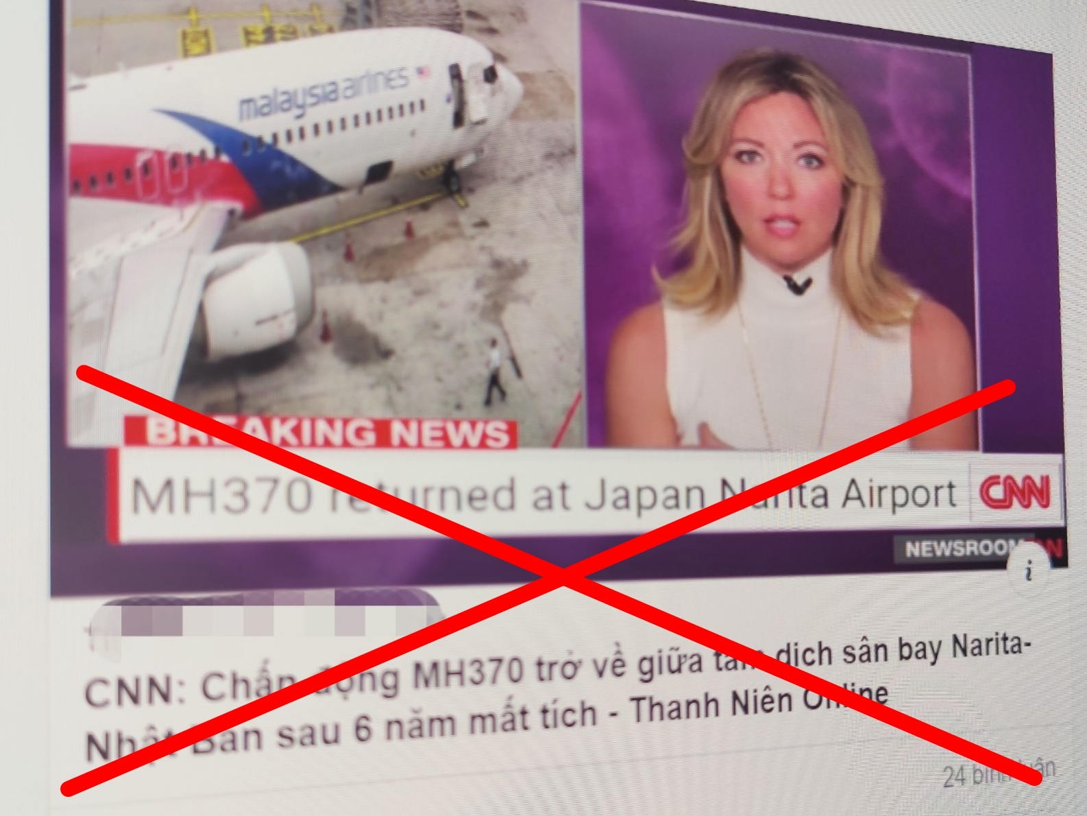 Tin don MH370 tro ve lan truyen tren mang xa hoi la gia mao hinh anh