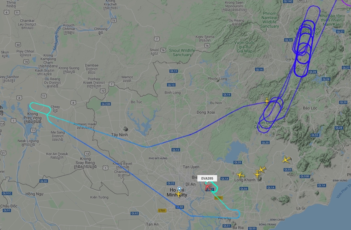 App Flightradar cho thay nhieu chuyen bay quay dau 'ne' Tan Son Nhat hinh anh