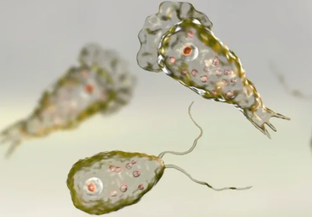 Ca nhiem trung bien hinh an nao xuat hien o My hinh anh