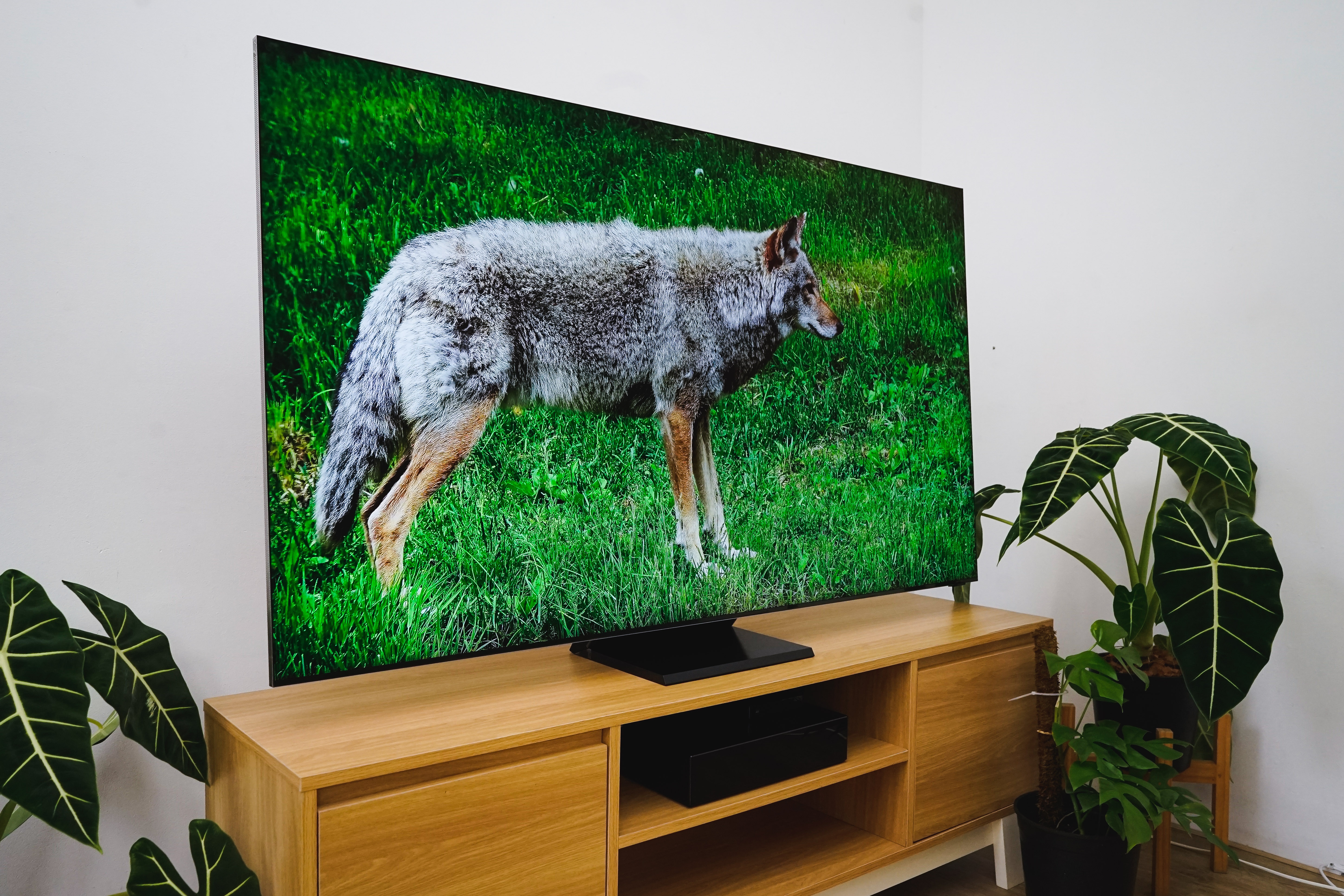 TV QLED Q950TS anh 9