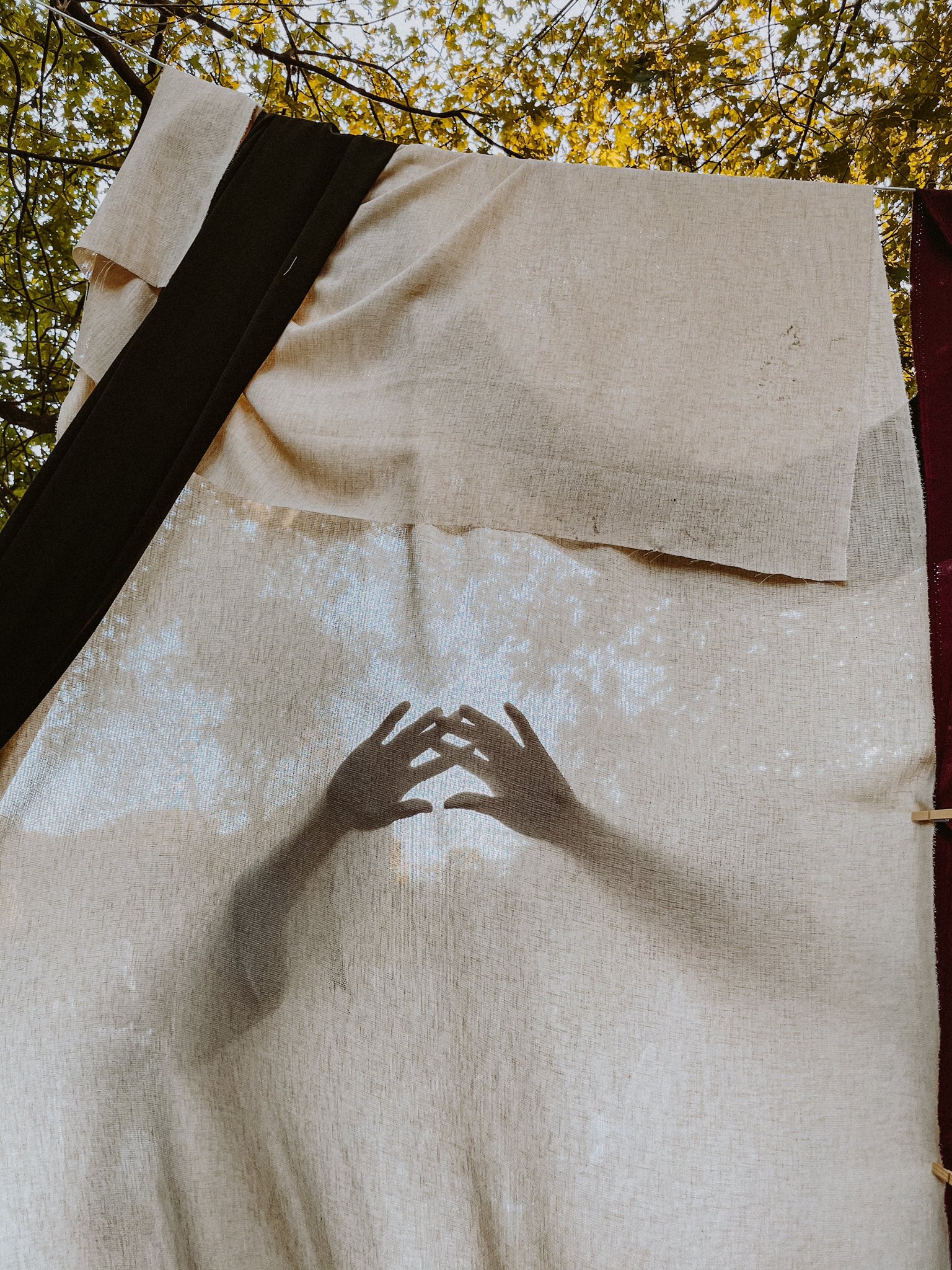 anh chup tu iphone 12 anh 7