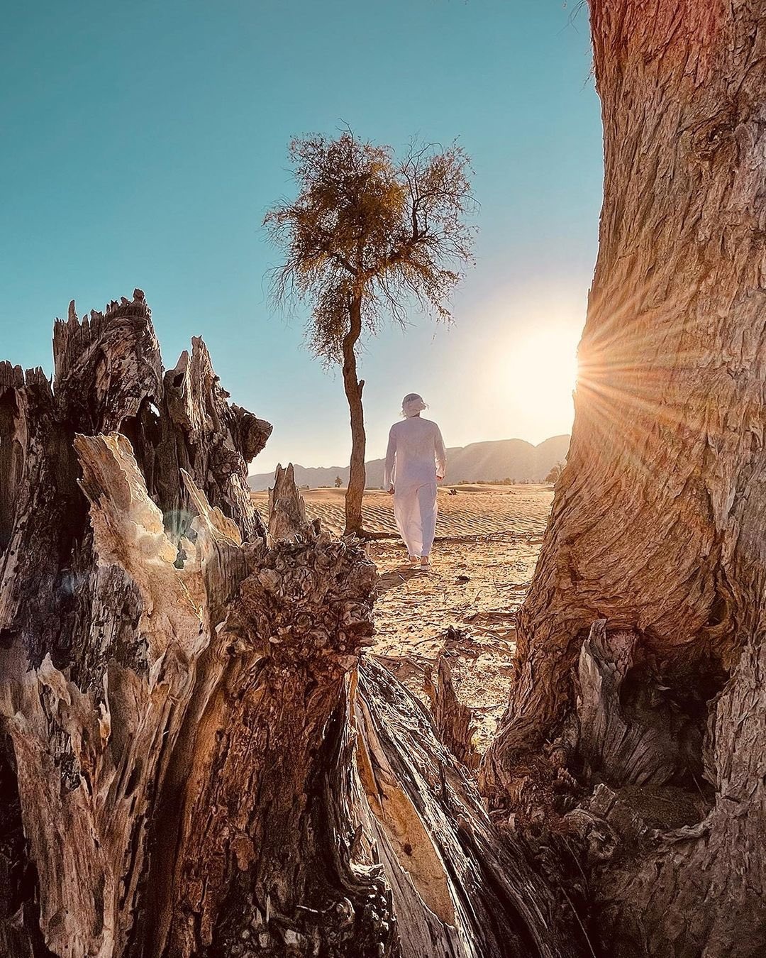 anh chup tu iphone 12 anh 10