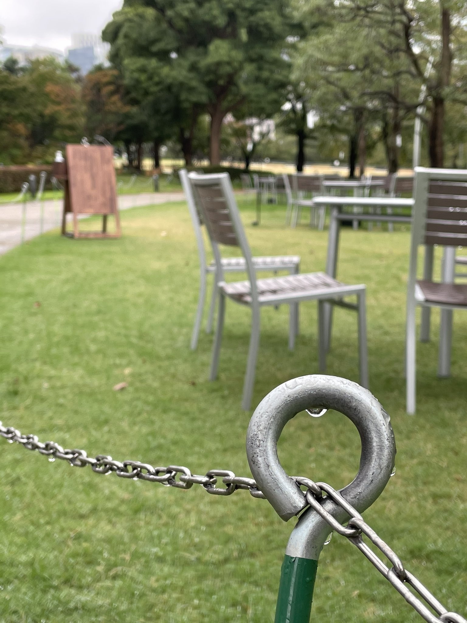 anh chup tu iphone 12 anh 2