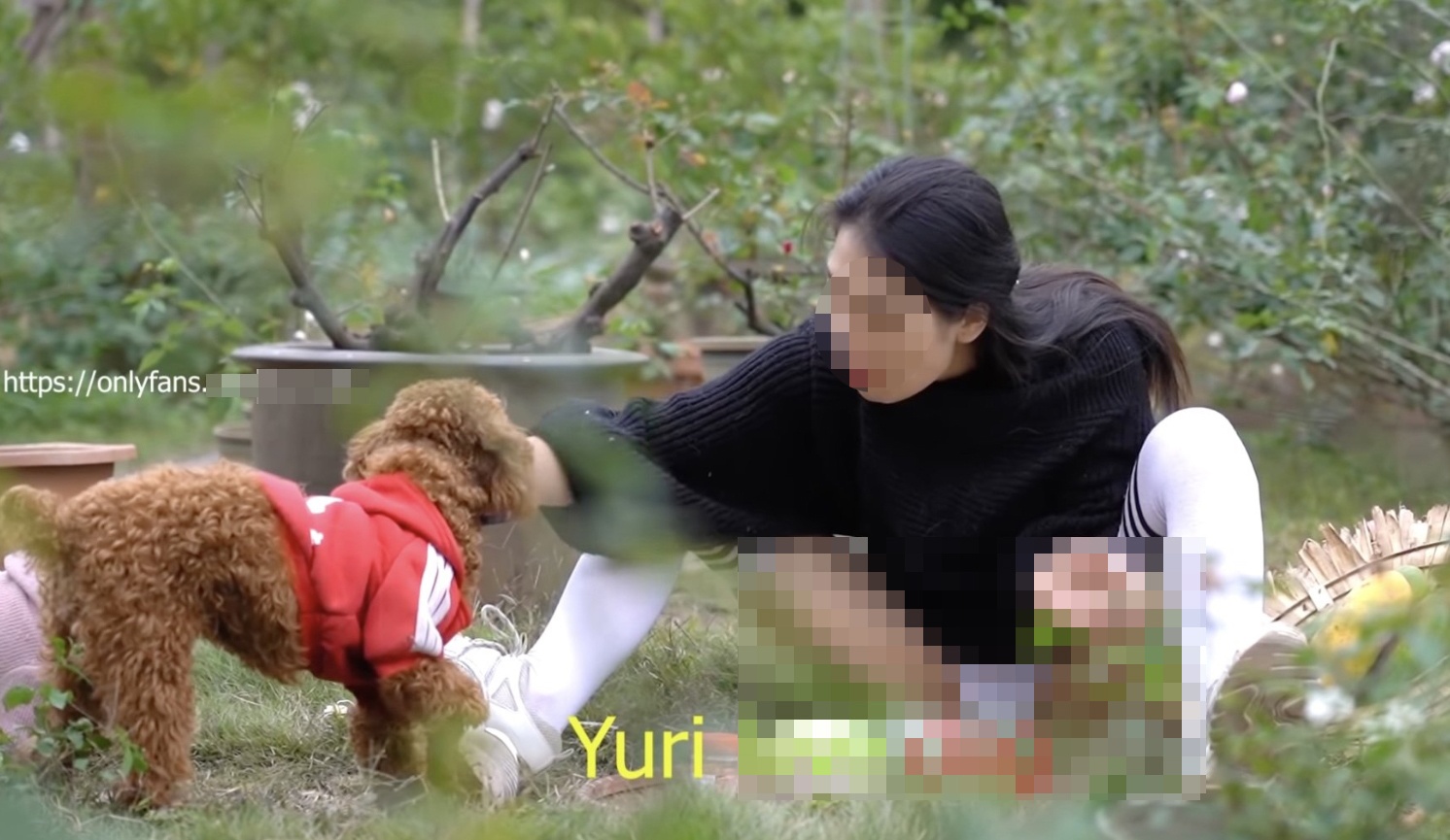 YouTube Single mom anh 1