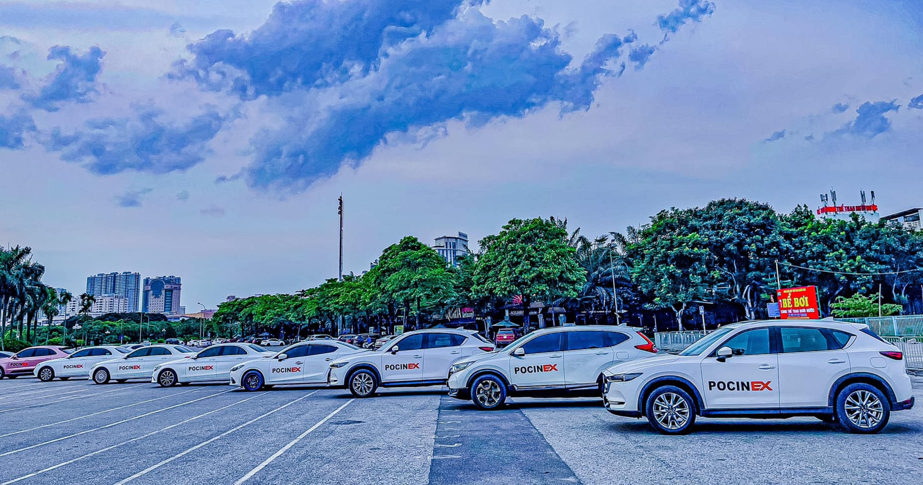 da cap,  nhi phan,  bo,  tien so,  tien dien tu,  pocinex,  wefinex anh 3