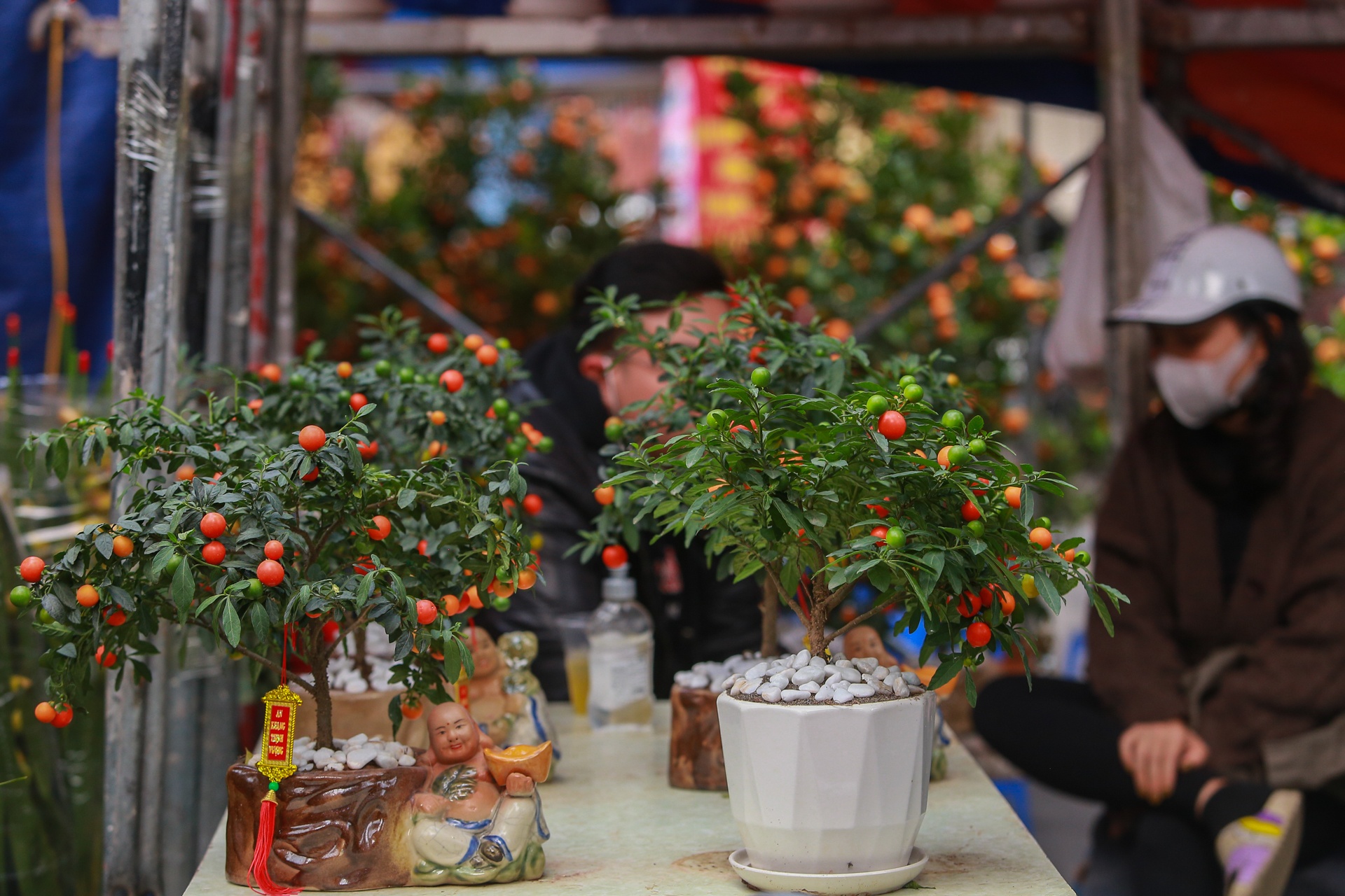Trau om tien vang 'cong' dao,  mai trang boc reu anh 12