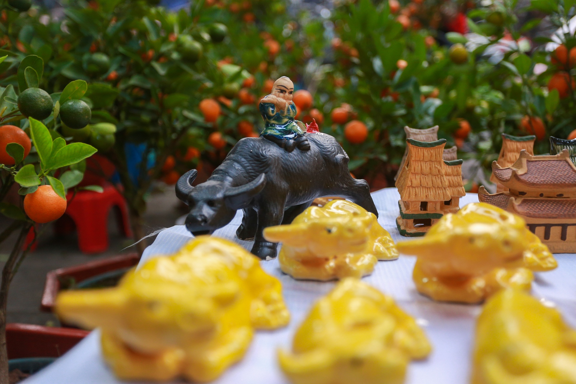 Trau om tien vang 'cong' dao,  mai trang boc reu anh 13