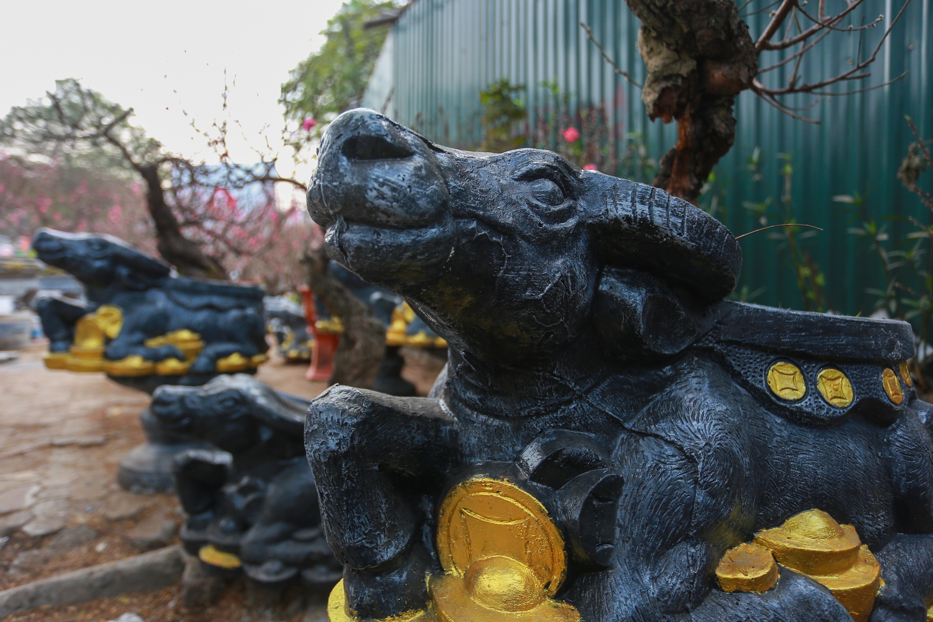 Trau om tien vang 'cong' dao,  mai trang boc reu anh 2