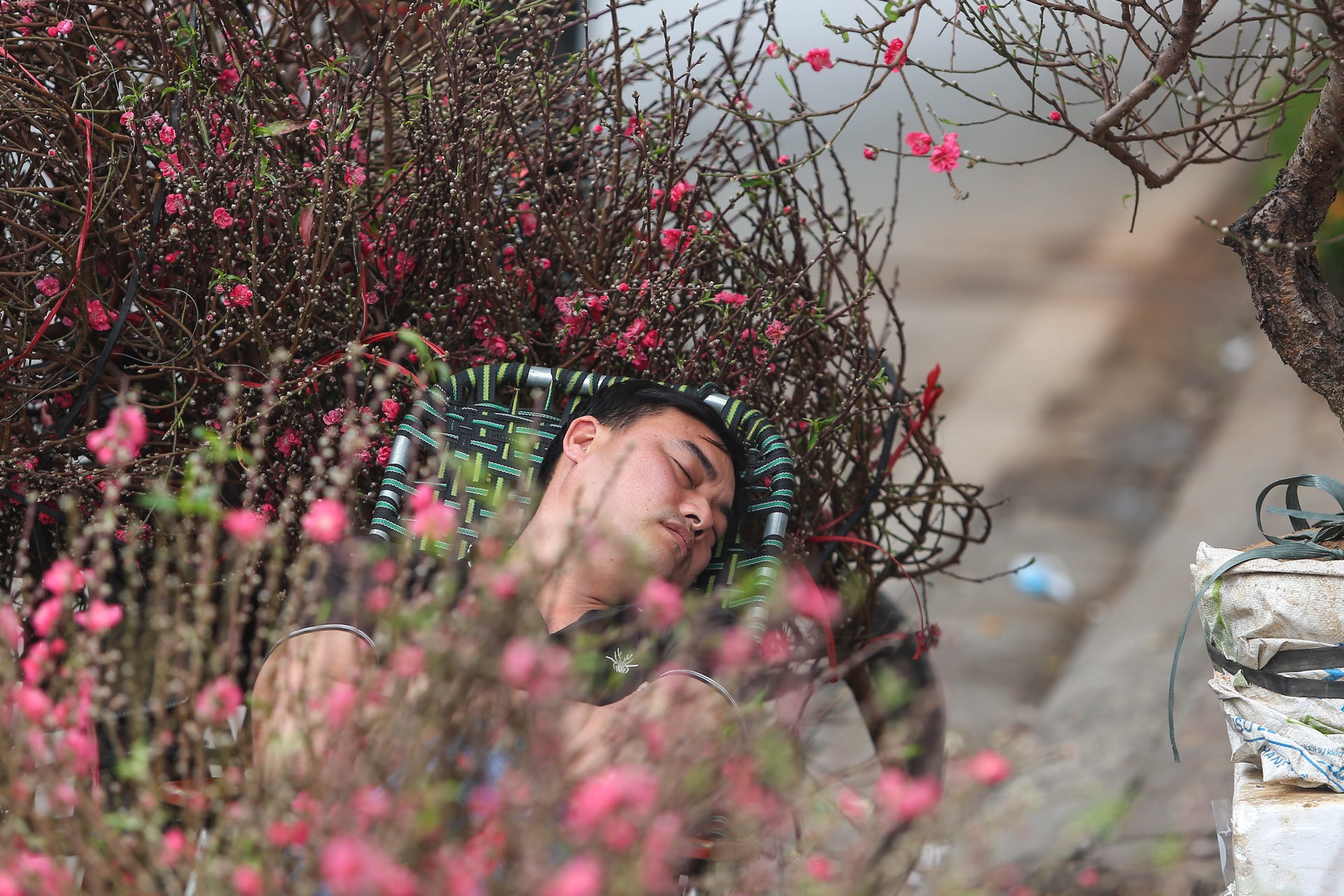 Dao the em am,  dao canh ha gia anh 10