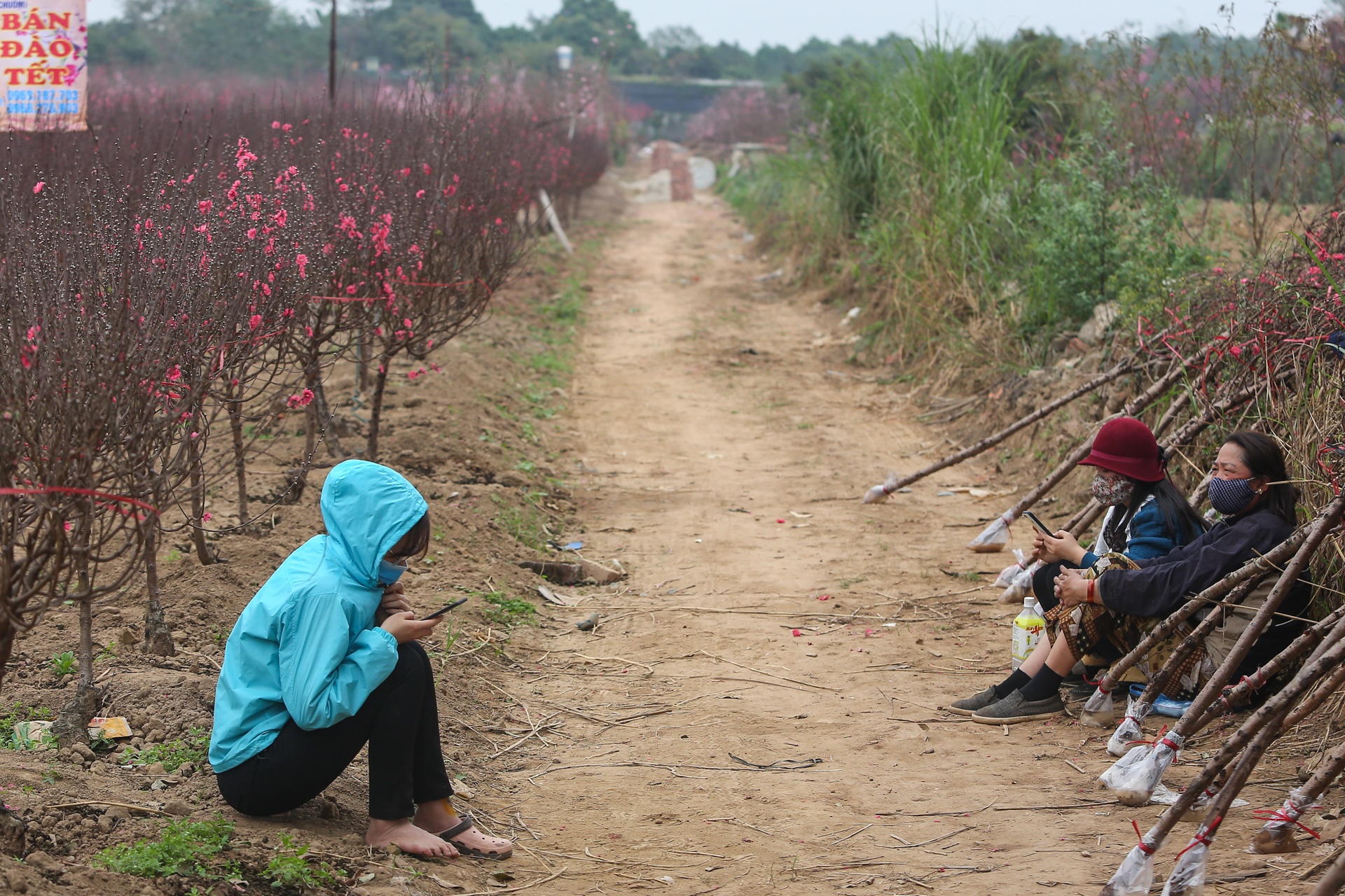 Dao the em am,  dao canh ha gia anh 1