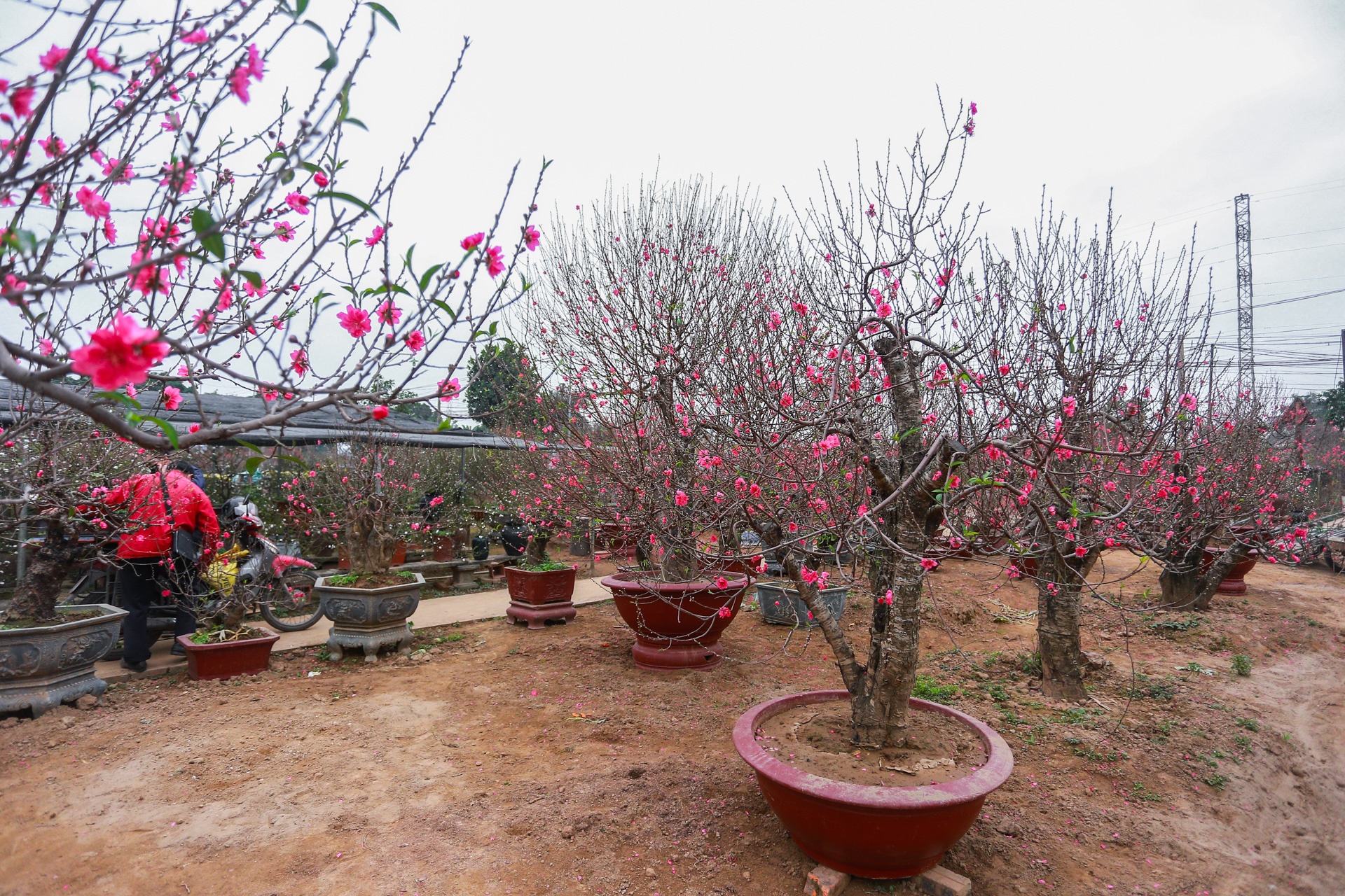 Dao the em am,  dao canh ha gia anh 3