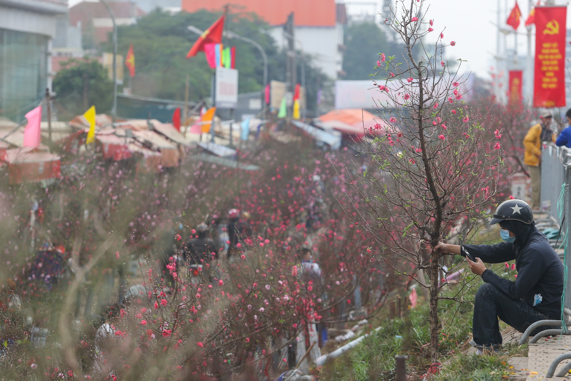Dao the em am,  dao canh ha gia anh 6