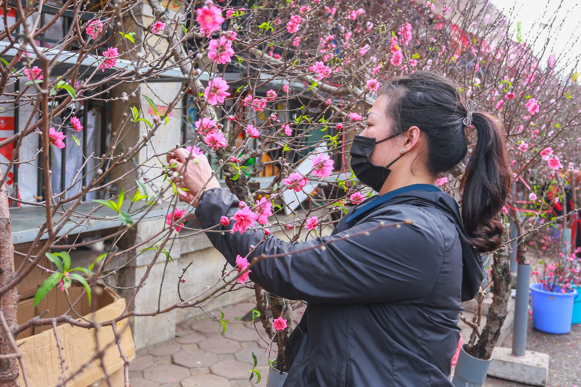 Dao the em am,  dao canh ha gia anh 7