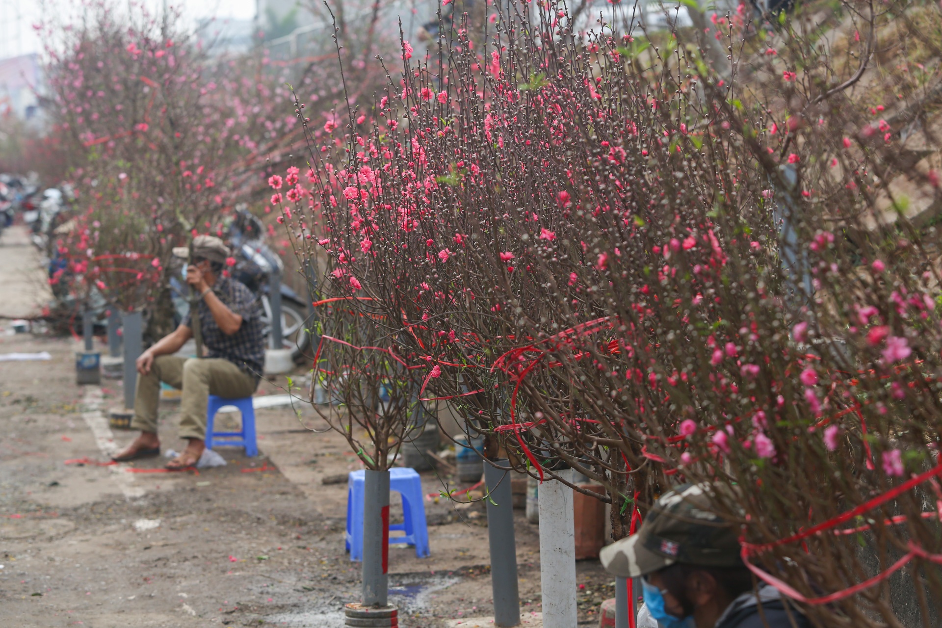 Dao the em am,  dao canh ha gia anh 8