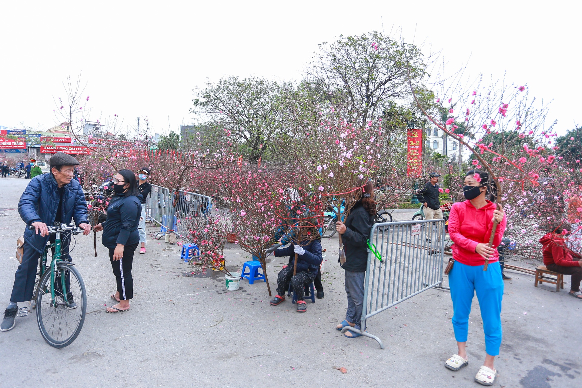 Dao the em am,  dao canh ha gia anh 9