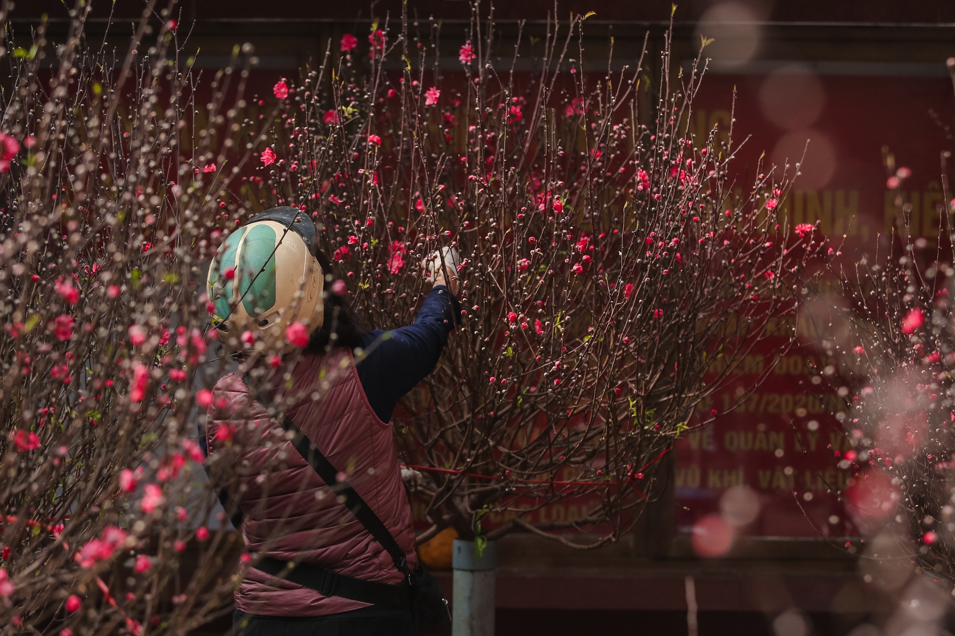 nhon nhip sam tet nhung ngay cuoi nam anh 2