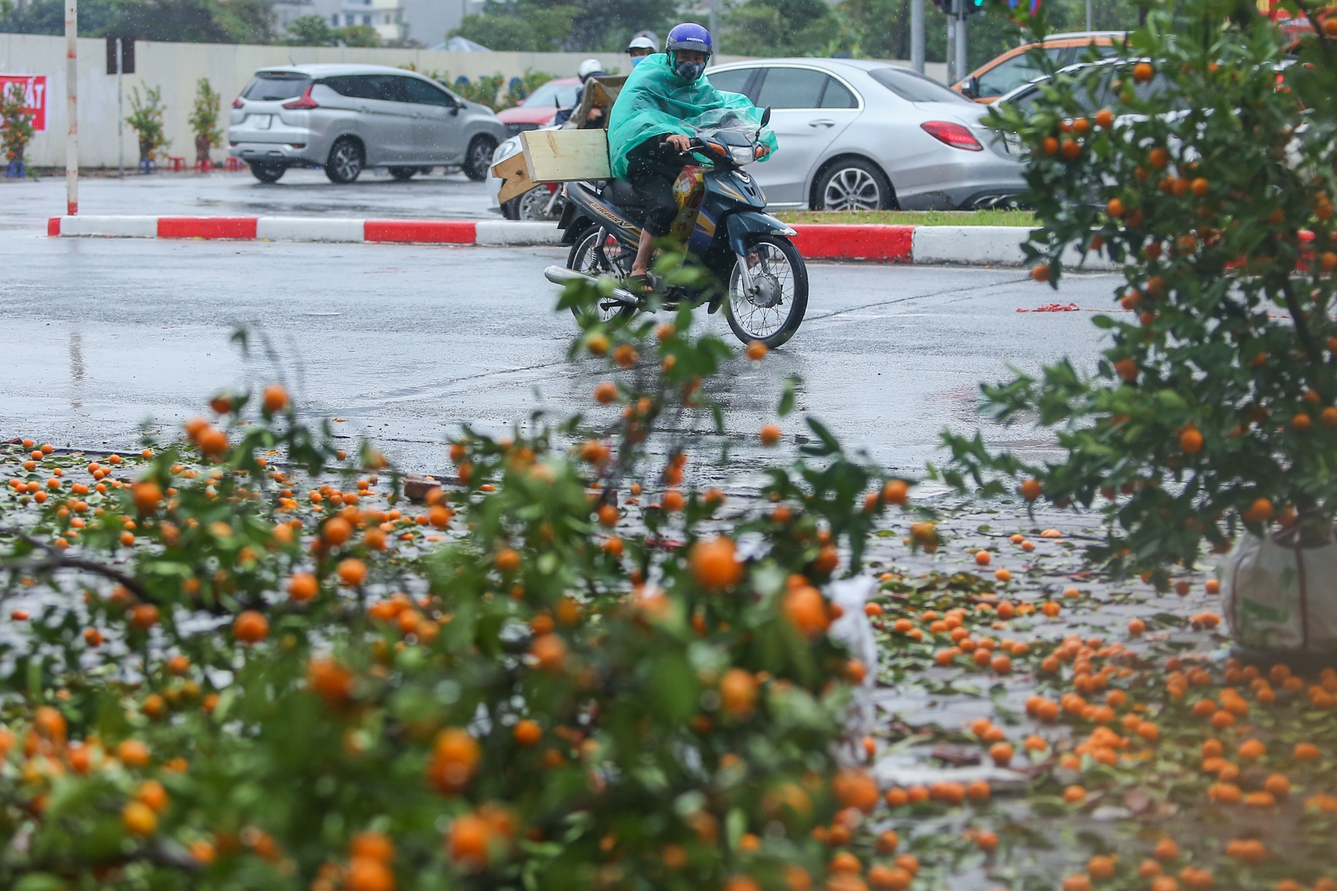 Quat canh do rap,  ha gia 'soc' anh 4