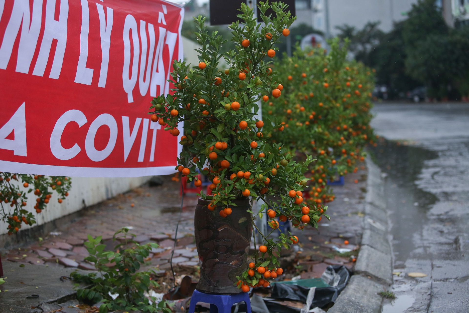 Quat canh do rap,  ha gia 'soc' anh 6