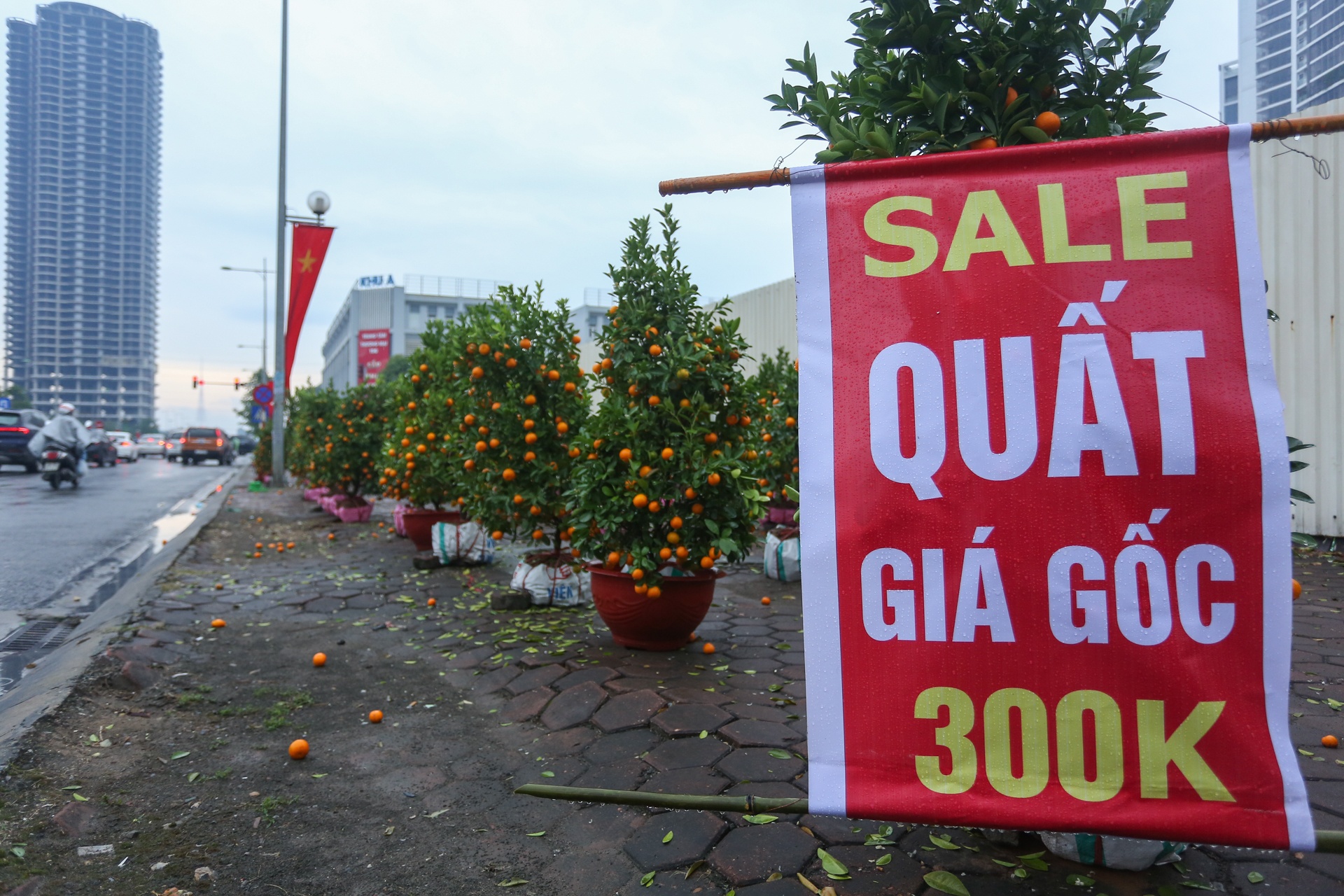 Quat canh do rap,  ha gia 'soc' anh 7