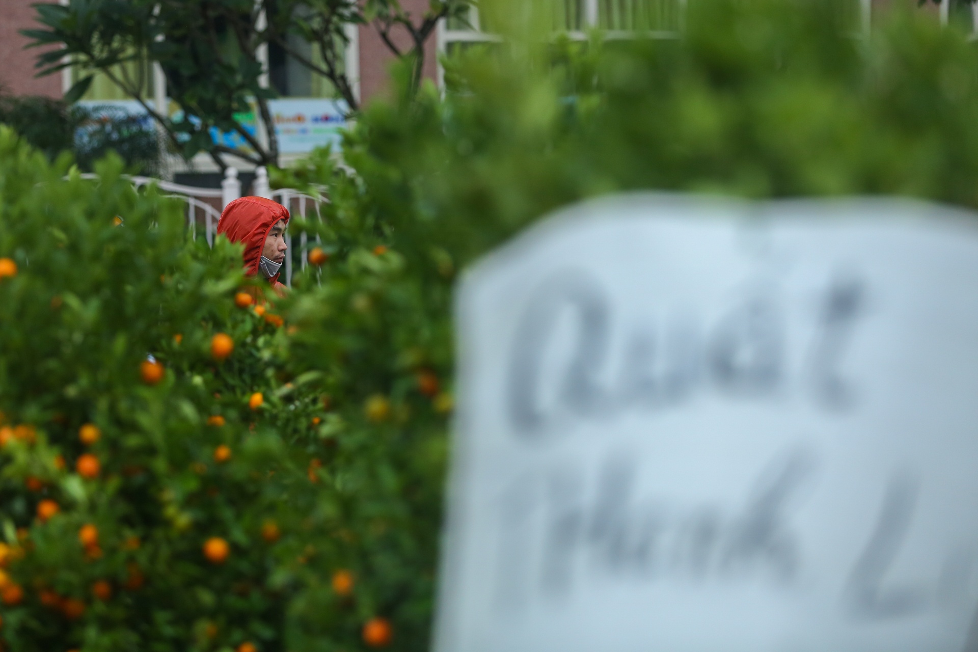 Quat canh do rap,  ha gia 'soc' anh 8