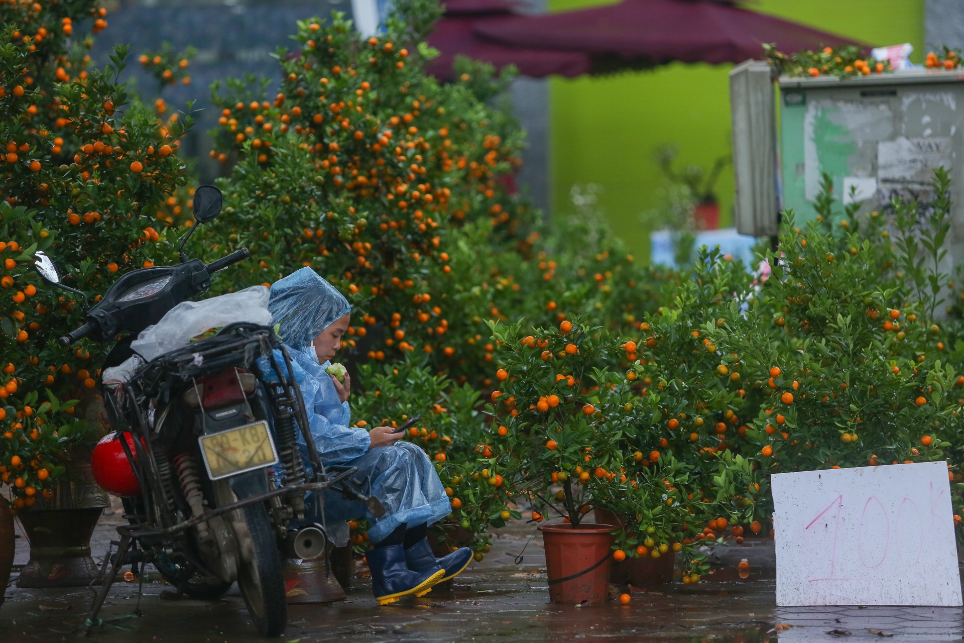 Quat canh do rap,  ha gia 'soc' anh 9