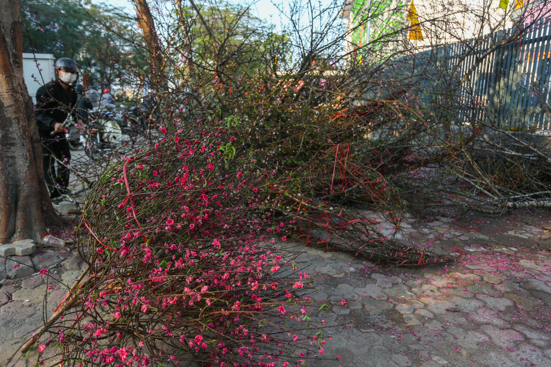 Tieu thuong khoc rong vi quat bi lay khong dua tien chieu 30 Tet anh 6